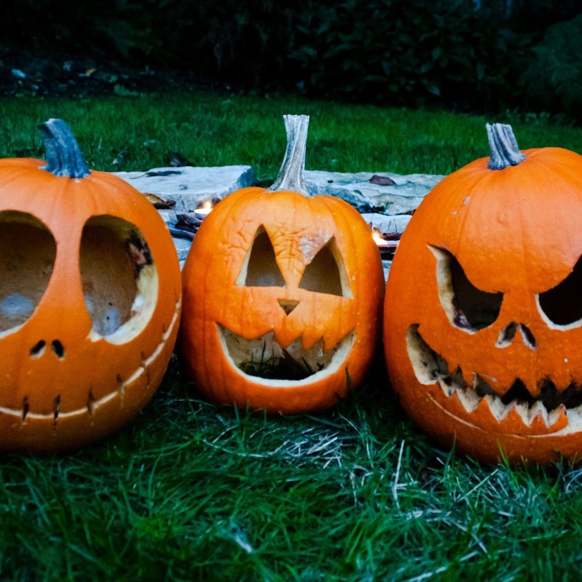tallado de calabaza para adultos