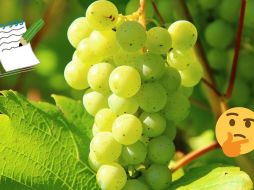 Las uvas destacan por su contenido en antioxidantes. Pexels