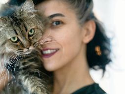 Los gatos requieren de cuidados y atención como cualquier mascota, pese a su aparente independencia. ESPECIAL