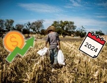 Ante estas estadísticas, la economía de México hila 14 trimestres consecutivos con crecimiento a tasa anual. EL INFORMADOR / ARCHIVO