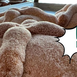 Esta es la cantidad saludable que se puede comer de pan de muerto, según el IMSS