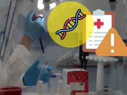 La presencia de BBP puede generar estrés oxidativo y roturas en las cadenas de ADN. SUN / ARCHIVO