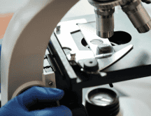 En la escala biológica, los viroides son los agentes infecciosos más pequeños conocidos; están por debajo de los virus. Pexels