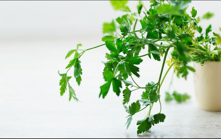 Las verduras y frutas ayudan a fortalecer el sistema inmunológico y fomentar una buena salud. ESPECIAL / Foto de pintando la luz en Unsplash