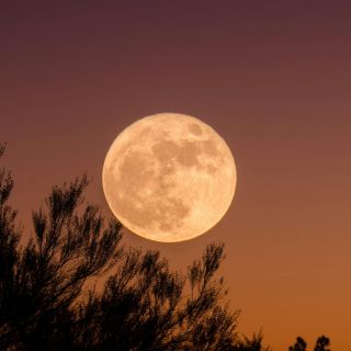 Luna del Castor 2024: ¿Cuándo y a qué hora ver el fenómeno en México?