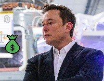 Elon Musk se ha convertido en uno de los principales portavoces de la campaña del candidato Donald Trump. AFP / ARCHIVO