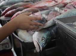 El omega-3 presente en el abadejo no solo beneficia al cerebro, sino que también es fundamental para la salud cardiovascular. EL INFORMADOR / ARCHIVO