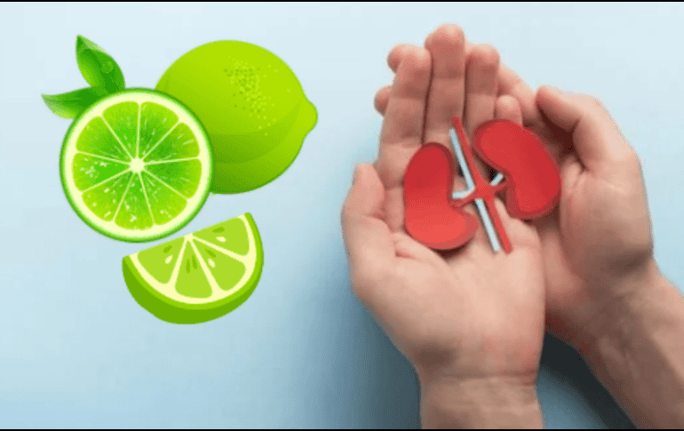 Si deseas aprovechar sus beneficios, lo ideal es consumirlo diluido en agua y no en exceso, preferentemente después de haber ingerido alimentos. Como siempre, es fundamental escuchar a tu cuerpo y consultar con un profesional de la salud si tienes dudas sobre cómo este jugo puede afectar tu bienestar renal. CANVA