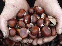 Las vitaminas del grupo B presentes en las castañas son cruciales para mantener un sistema nervioso saludable. EFE / ARCHIVO