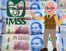 Hasta la fecha, más de 11 mil 900 médicos especialistas han sido incorporados al Programa IMSS-Bienestar. CANVA