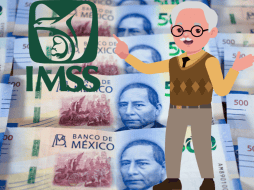 Hasta la fecha, más de 11 mil 900 médicos especialistas han sido incorporados al Programa IMSS-Bienestar. CANVA