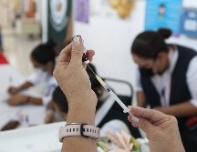 Así lo informó la próxima secretaria de Ciencia, Humanidades, Tecnología e Innovación, Rosaura Ruiz Gutiérrez. EL INFORMADOR / ARCHIVO