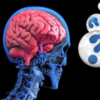 10 curiosidades sobre el cuerpo humano que tal vez no conocías