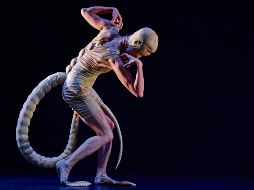 La coreógrafa y bailarina japonesa da vida a una criatura de otro planeta que llevará al espectador a su mundo en este montaje. CORTESÍA
