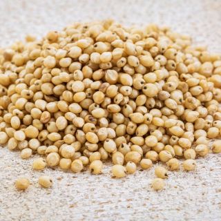 El grano poco conocido que tiene propiedades anti diabetes