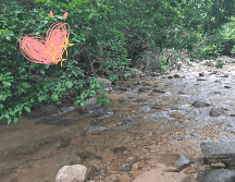 Estos cuerpos de agua son el destino perfecto para disfrutar al máximo de la Semana Santa 2025. EL INFORMADOR / O. Álvarez