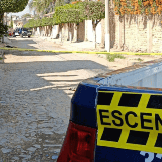 Hallan cuatro perros envenenados y con huellas de maltrato en Tonalá