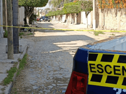 En el Código Penal de Jalisco se establecen penas de cárcel de seis meses hasta tres años a quien o quienes resulten responsables de crueldad animal. CORTESÍA/Coordinación de Seguridad y Emergencias Tonalá.