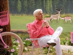 Ryan Gosling es un ferviente defensor de los derechos de los animales y está comprometido con varias organizaciones benéficas. EFE / Jaap Buitendijk.