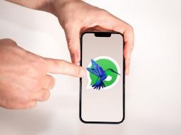 Este cambio estético no modifica la configuración interna de la plataforma. UNSPLASH / J. ZERDZICKI