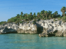 Este estudio demuestra que, América Latina y en especial México es un verdadero tesoro de biodiversidad. ESPECIAL/Isla Contoy