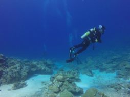 El buzo sufrió un accidente devastador mientras estaba en busca de mejillones a más de 30 metros de profundidad. ESPECIAL /Imagen de Arhnue Tan en Pixabay