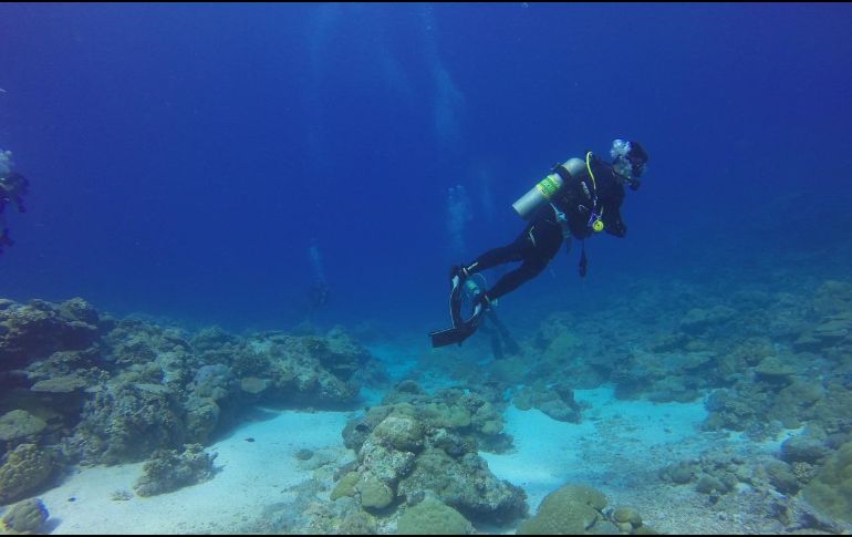 El buzo sufrió un accidente devastador mientras estaba en busca de mejillones a más de 30 metros de profundidad. ESPECIAL /Imagen de Arhnue Tan en Pixabay