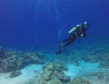 El buzo sufrió un accidente devastador mientras estaba en busca de mejillones a más de 30 metros de profundidad. ESPECIAL /Imagen de Arhnue Tan en Pixabay