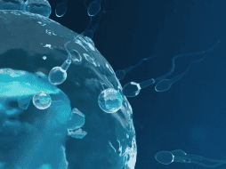 Se calcula que una de cada seis parejas sufre de infertilidad en el mundo. EFE / ARCHIVO