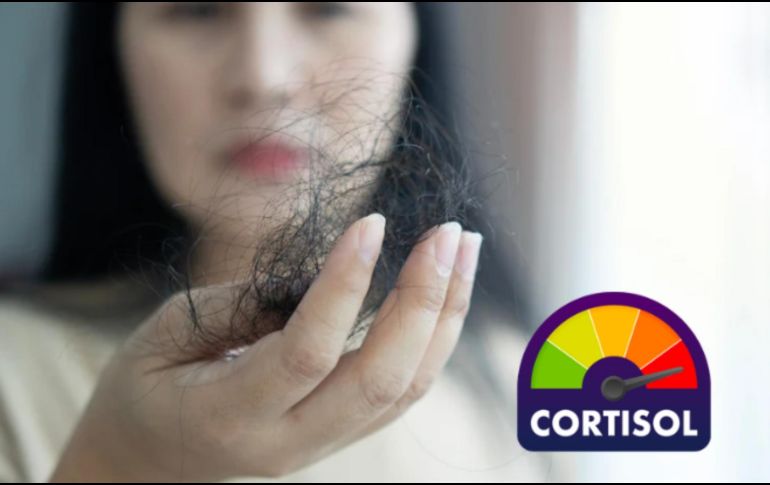 El exceso de cortisol, especialmente cuando es causado por el estrés crónico, no solo afecta nuestra salud interna, sino que tiene consecuencias visibles en nuestra apariencia física. CANVA