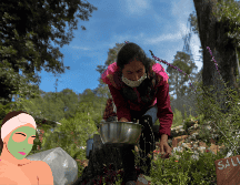 Estas plantas te ayudan a combatir el acné. EFE / ARCHIVO