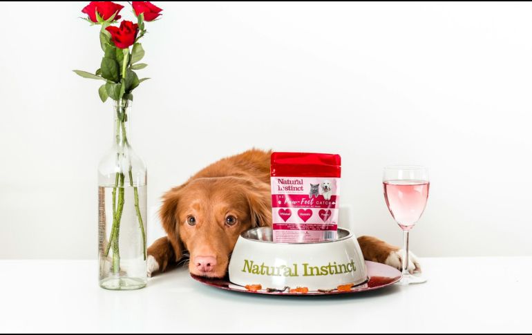 La carne puede ser un complemento ideal en la dieta de los perros, siempre y cuando se elijan cortes adecuados y se prepare de forma segura. ESPECIAL/ Foto de Jamie Street en Unsplash