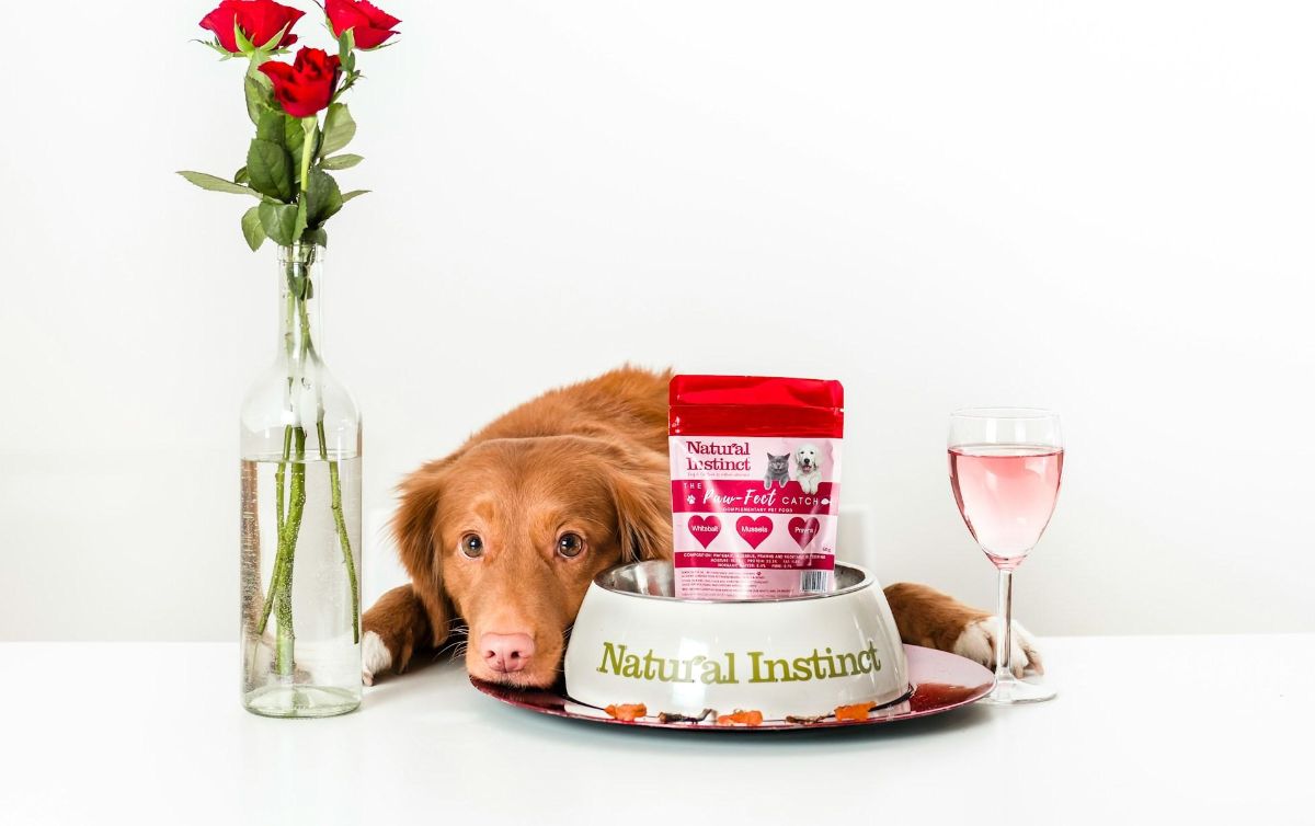 que carne les gusta mas a los perros