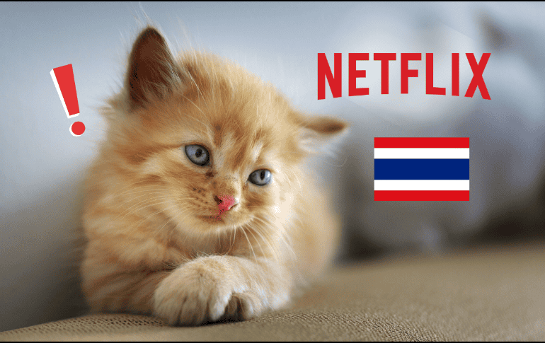 Se investiga la serie tailandesa que afectó al público por presunto maltrato. Pixabay