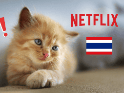 Se investiga la serie tailandesa que afectó al público por presunto maltrato. Pixabay