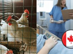 No está claro cómo fue que el adolescente contrajo el virus. ESPECIAL/Pexels