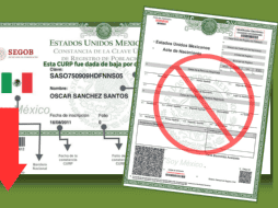 El CURP encuentra utilidad en múltiples trámites administrativos, pues a través de él se puede acceder a los servicios de salud y educación, además de apoyos sociales como becas y pensiones. ESPECIAL/Gobierno de México