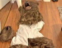 Los sospechosos afirmaron que un oso había causado daños a sus vehículos, incluyendo un Rolls-Royce y dos Mercedes, con supuestas pruebas en video. ESPECIAL