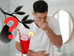 Esta planta, además de ayudarte a combatir la intoxicación alcohólica, también ayuda a mejorar tu digestión. ESPECIAL/ CANVA