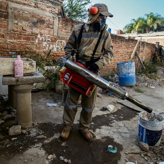 Crecen muertes por dengue en Jalisco; afecta más a diabéticos e hipertensos