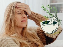 Las plantas como la menta, la manzanilla, la lavanda, el jengibre y la salvia ofrecen una variedad de beneficios que van desde la relajación muscular hasta la mejora de la circulación y la reducción de la inflamación.  CANVA