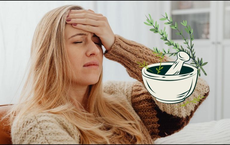 Las plantas como la menta, la manzanilla, la lavanda, el jengibre y la salvia ofrecen una variedad de beneficios que van desde la relajación muscular hasta la mejora de la circulación y la reducción de la inflamación.  CANVA