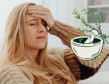 Las plantas como la menta, la manzanilla, la lavanda, el jengibre y la salvia ofrecen una variedad de beneficios que van desde la relajación muscular hasta la mejora de la circulación y la reducción de la inflamación.  CANVA