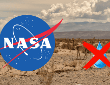 La sequía será un reto para agricultores y la población en general, según reporta la NASA. PEXELS / CANVA