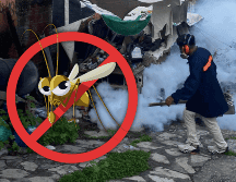Los insecticidas y las brigadas no son suficientes para acabar con el mosquito transmisor, por lo que los ciudadanos deben poner de su parte para acabar con el Aedes aegypti. EL INFORMADOR / ARCHIVO