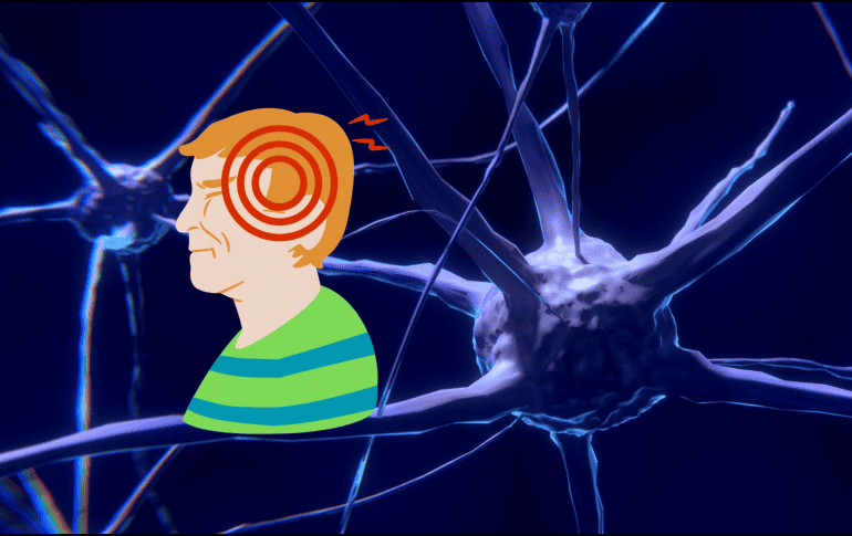 Aunque la pérdida neuronal es un proceso continuo, el cerebro tiene mecanismos para compensarla. La neuroplasticidad, por ejemplo, permite que las neuronas supervivientes adopten las funciones de las que han muerto. CANVA