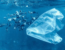 Las bolsas de plástico de un solo uso o envases de poliestireno de alto impacto usados para yogures o gelatinas, aparecen en la lista. UNSPLASH / N. BERTOLT