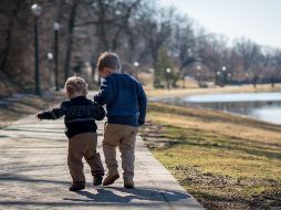 Aunque a primera vista puedan parecer negativas, estas peleas moderadas pueden tener beneficios importantes, como motivar a los niños a superarse y desarrollar habilidades de resolución de conflictos. Pixabay