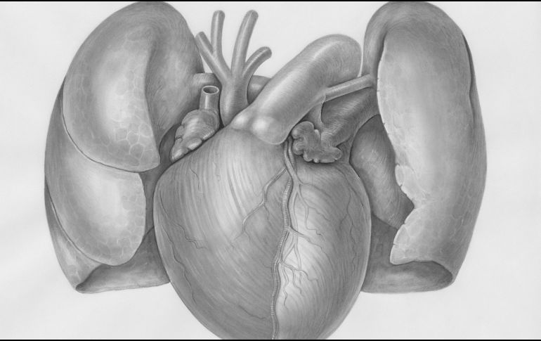 Estos avances marcan el inicio de una nueva era en la medicina. UNSPLASH / EUROPEANA