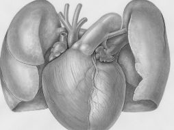 Estos avances marcan el inicio de una nueva era en la medicina. UNSPLASH / EUROPEANA